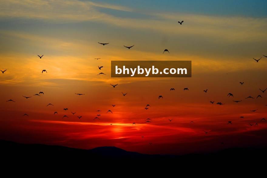 米兰 从像素到世界：米兰游戏资讯盘点开发者如何塑造游戏人物灵魂 文章配图